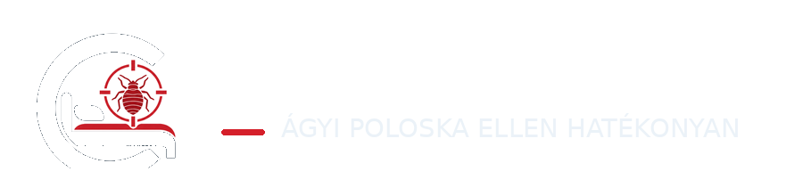 CIMEX
